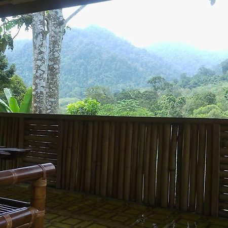 ホテルBatu Kapal Jungle Houses ブラスタギ エクステリア 写真