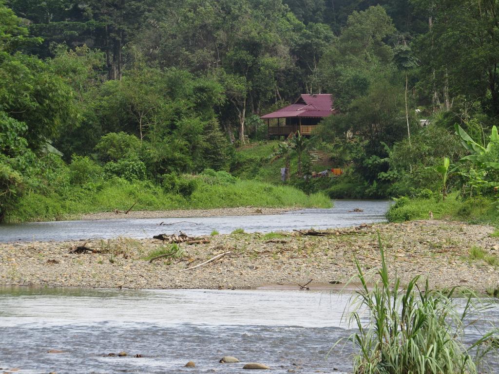 ホテルBatu Kapal Jungle Houses ブラスタギ 部屋 写真