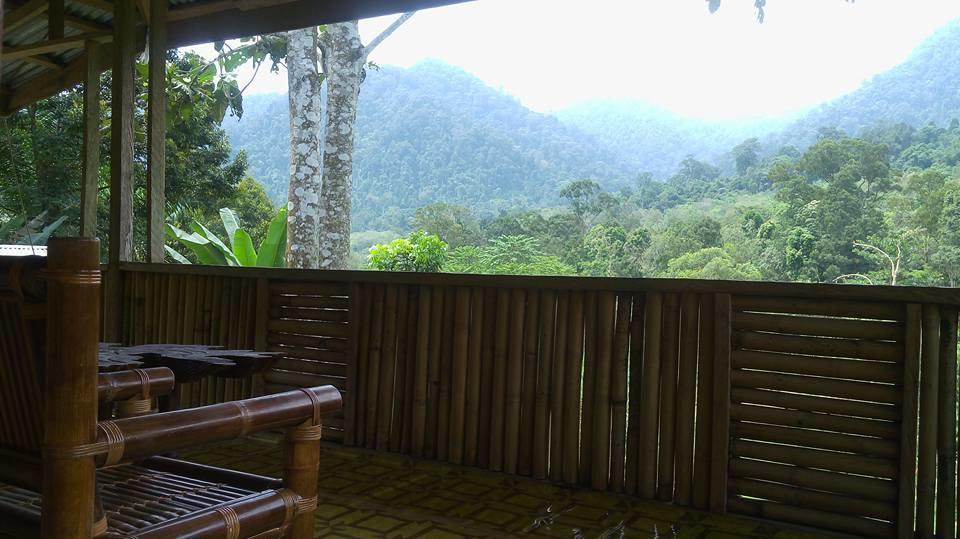 ホテルBatu Kapal Jungle Houses ブラスタギ エクステリア 写真