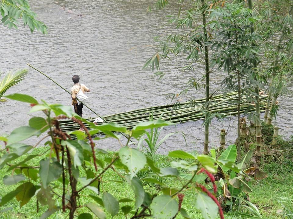 ホテルBatu Kapal Jungle Houses ブラスタギ エクステリア 写真