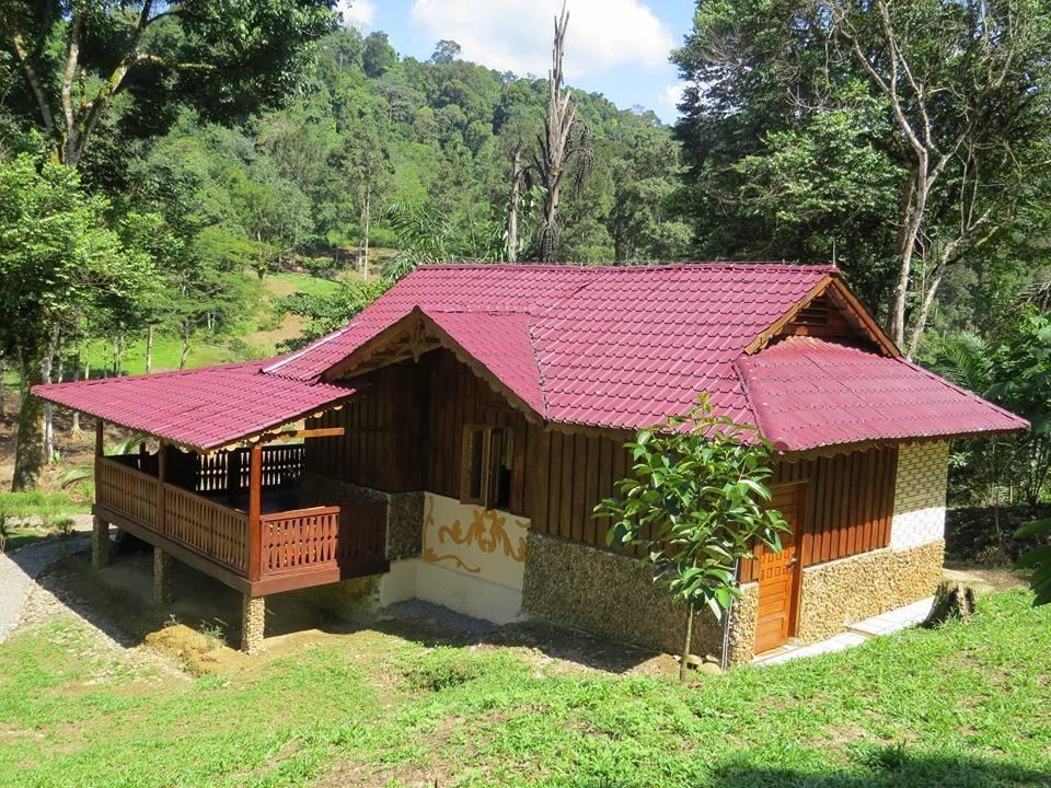 ホテルBatu Kapal Jungle Houses ブラスタギ エクステリア 写真
