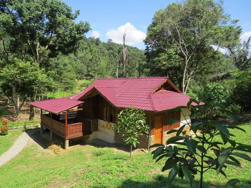 ホテルBatu Kapal Jungle Houses ブラスタギ エクステリア 写真