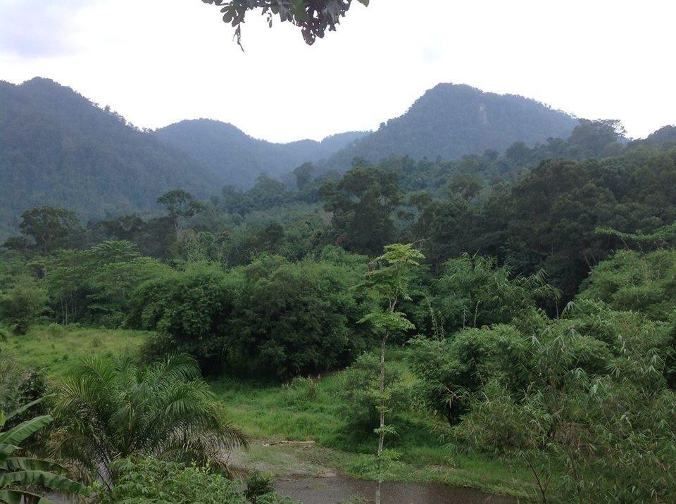 ホテルBatu Kapal Jungle Houses ブラスタギ エクステリア 写真