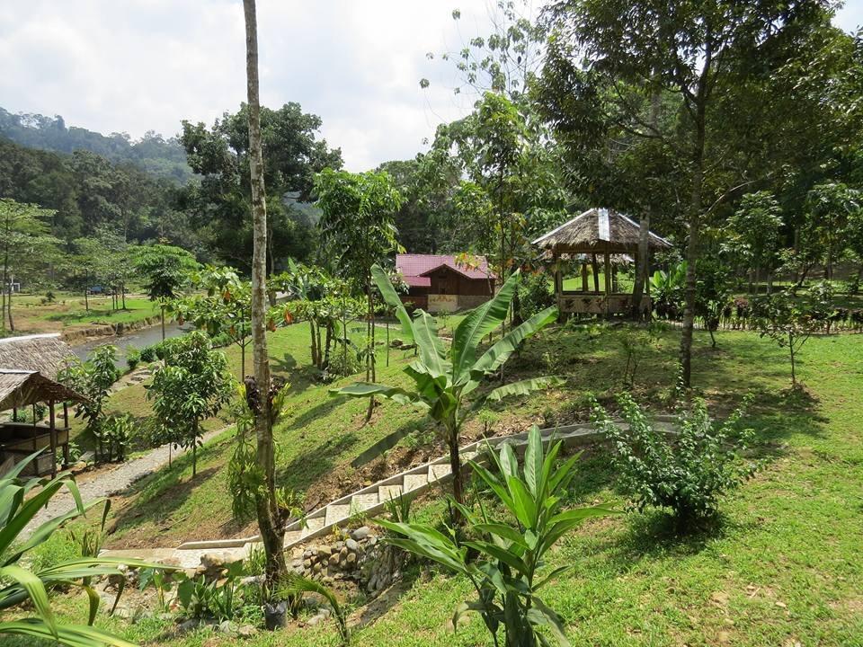 ホテルBatu Kapal Jungle Houses ブラスタギ エクステリア 写真