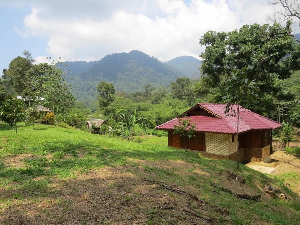 ホテルBatu Kapal Jungle Houses ブラスタギ エクステリア 写真
