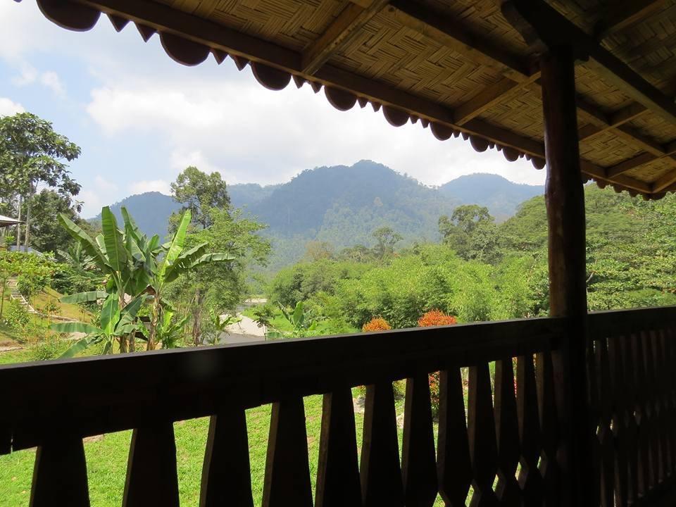 ホテルBatu Kapal Jungle Houses ブラスタギ エクステリア 写真