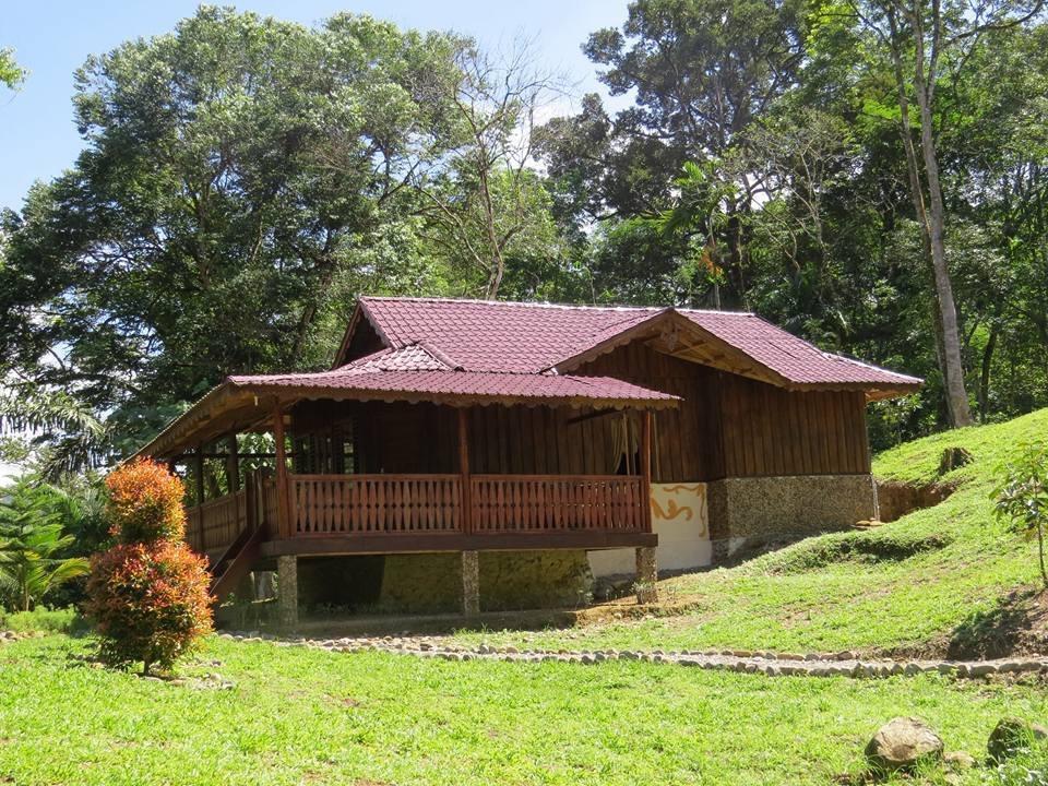 ホテルBatu Kapal Jungle Houses ブラスタギ エクステリア 写真